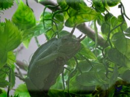 Tiergarten Schönbrunn am 20.10.2025